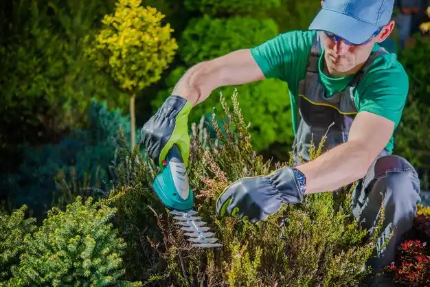 landscaping services North Great River